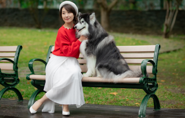 Красивая девушка азиатка сидит с собакой на лавке