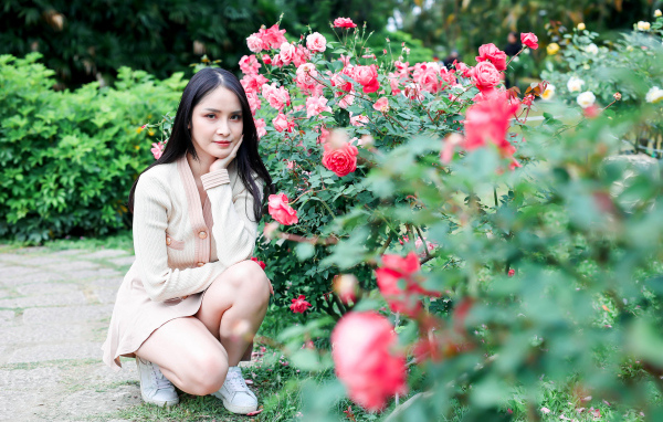 Красивая девушка сидит у куста роз