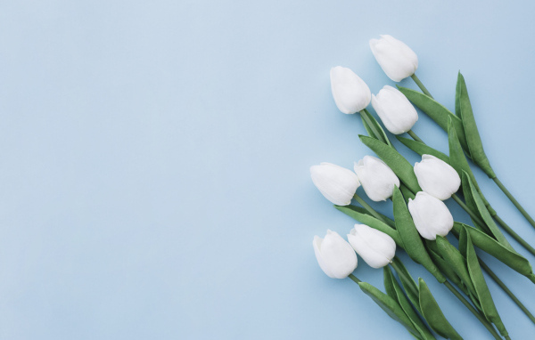 Букет белых тюльпанов шаблон поздравительной открытки на 8 марта