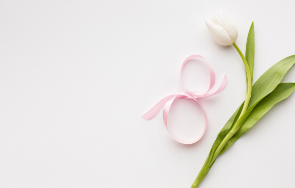 Тюльпан для любимой на 8 марта на розовом фоне