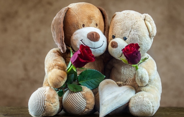 Две плюшевых игрушки с розами в подарок на День Святого Валентина