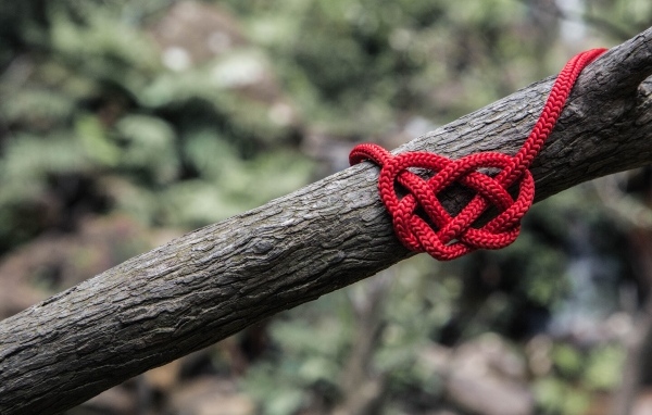 Красное сердце из веревки на дереве