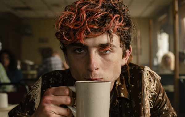 Актер Тимоти Шаламе в фильме Целиком и полностью