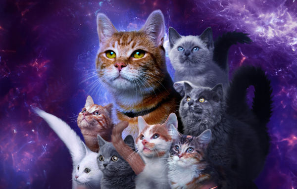 Коты из фантастического фильма Марвелы