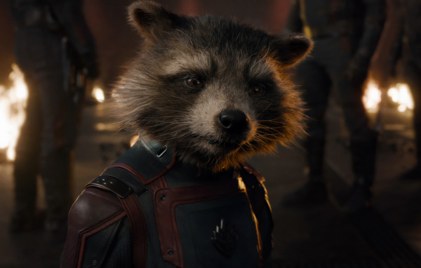 Енот Ракета персонаж фильма Стражи Галактики: Часть 3
