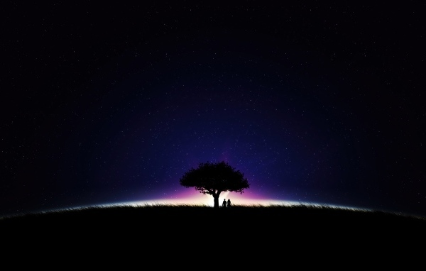 Большое дерево на фоне неба ночью