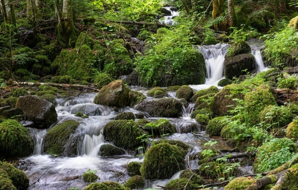 Большие покрытые мхом камни в лесном ручье