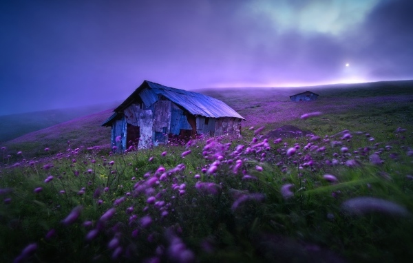 Старый дом с сиреневыми цветами на холме