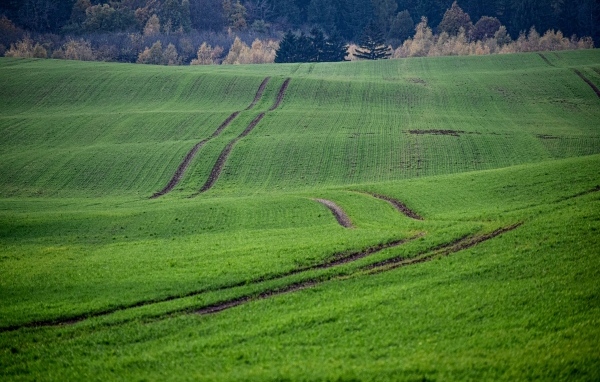 Красивый вид за зеленые поля весной