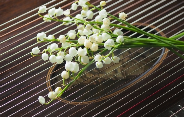 Букет белых ландышей лежит на струнах