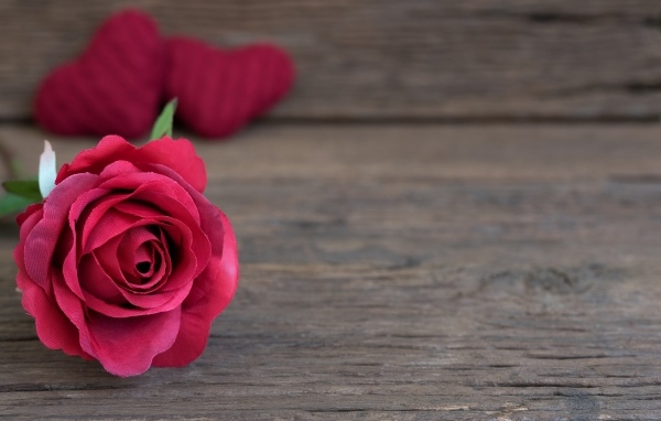 Искусственная роза на деревянном фоне с сердечками