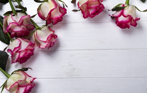 Красивые розы на деревянном фоне