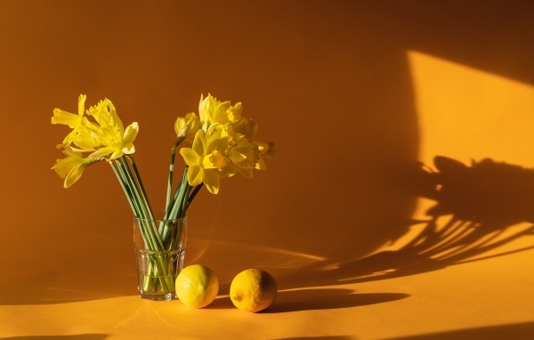 Букет желтых нарциссов в вазе на столе с лимонами