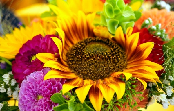 Букет с цветами подсолнуха и георгины