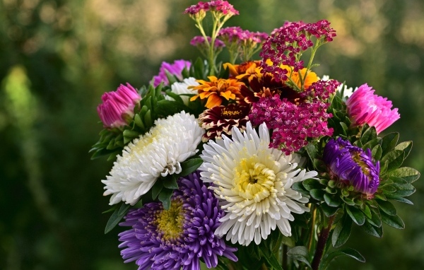 Яркий букет садовых осенних цветов