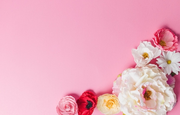 Нежные сорванные цветы на розовом фоне