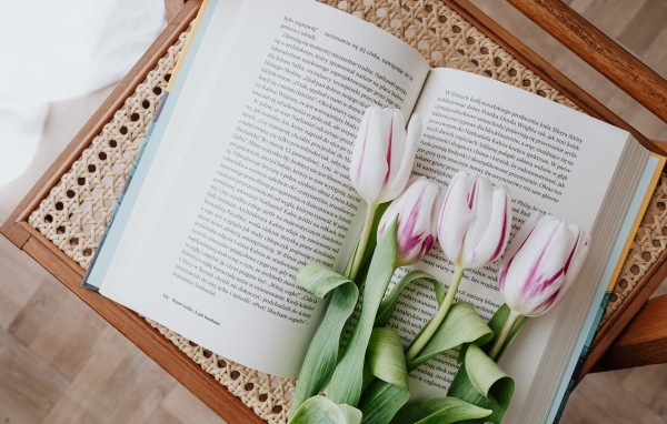 Свежие тюльпаны лежат на книге