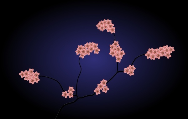 Нарисованные розовые цветы на синем фоне