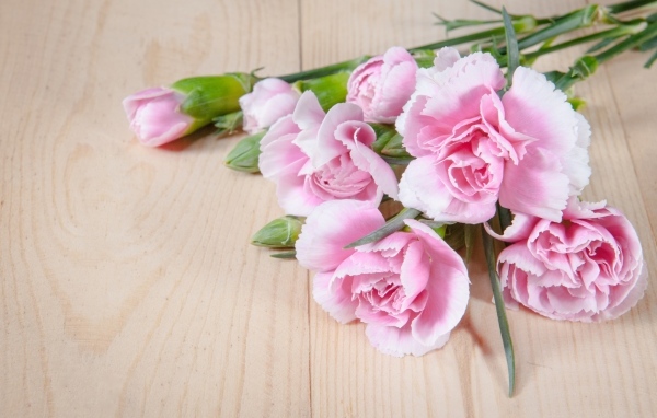 Розовые гвоздики на столе