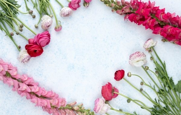 Лютики и цветы антирринум на голубом фоне