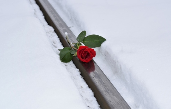 Красная роза на рельсах зимой