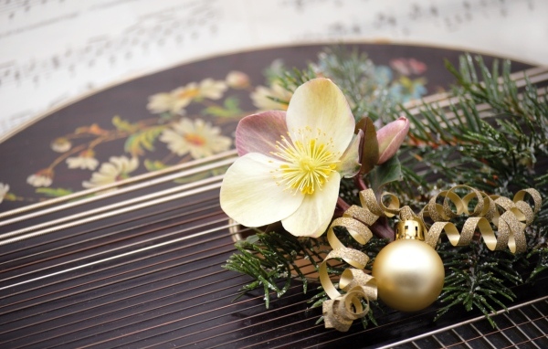 Цветок лежит на музыкальном инструменте