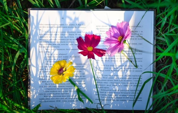 Три цветка лежат на книге в траве