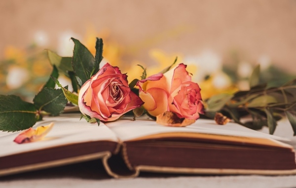 Две розы лежат на открытой книге