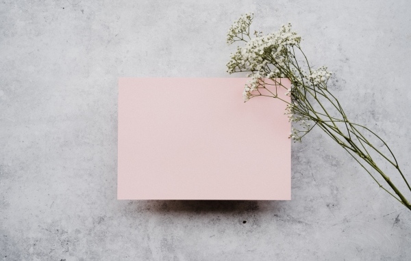 Белые цветы и лист розовой бумаги на сером фоне