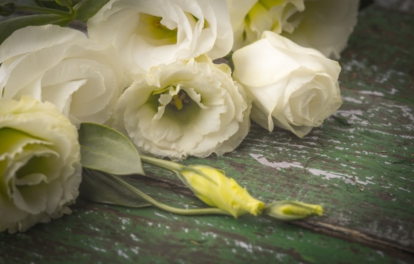 Белые розы и цветы эустомы на столе