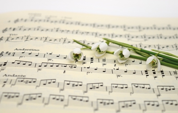 Белые подснежники на нотной тетради