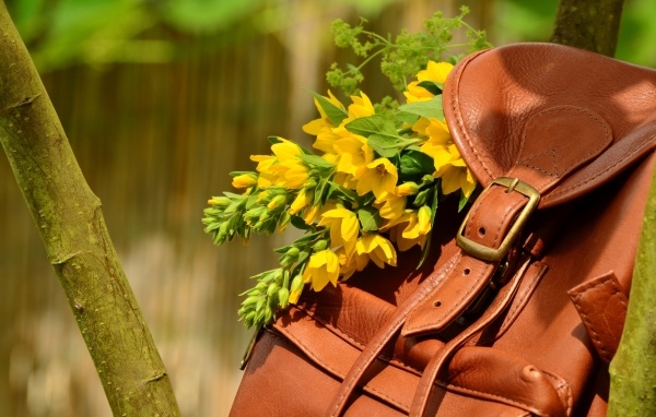 Желтые цветы лежат в кожаном рюкзаке 