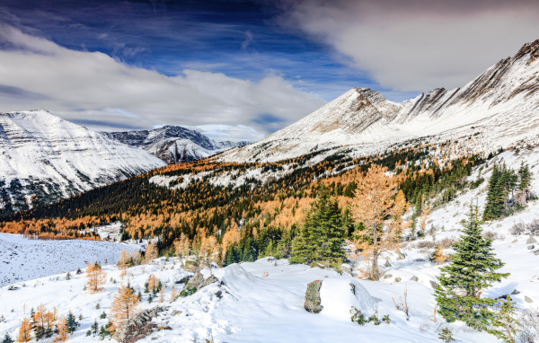 Красивый вид на холодные заснеженные горы
