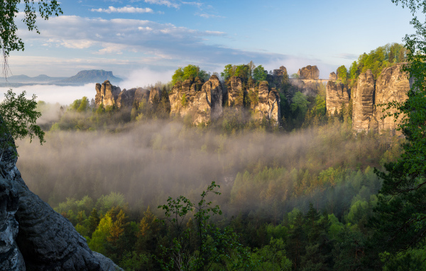 Туман над лесом в горном ущелье