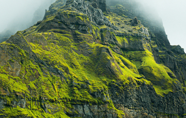 Высокая гора покрыта зеленой растительностью