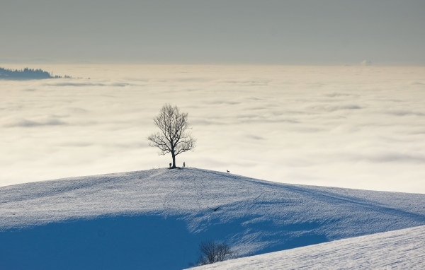 Густые белые облака в заснеженных горах