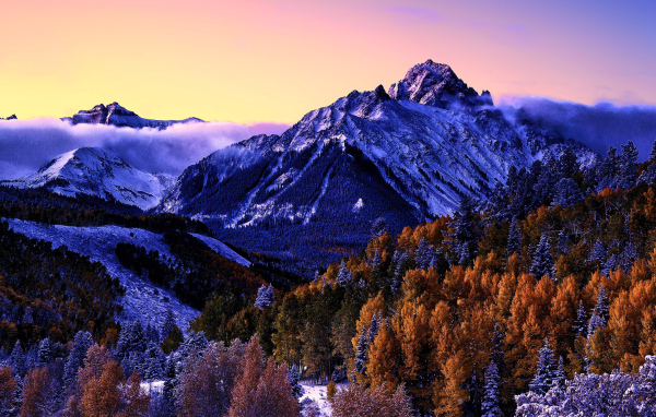 Вид на заснеженную гору и лес