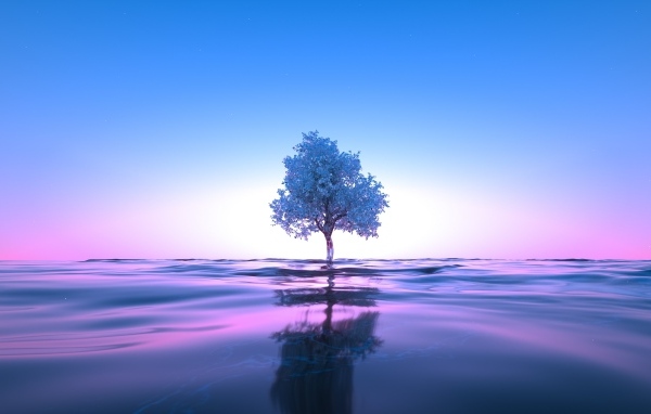 Дерево растет в воде на фоне неба