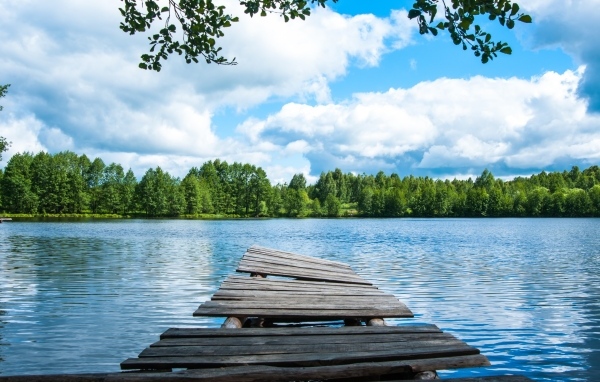 Ветхий деревянный мост у реке