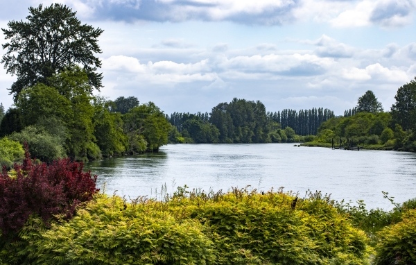 Озеро с покрытыми деревьями берегами