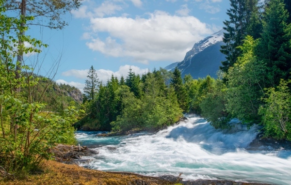 Бушующая быстрая река в лесу