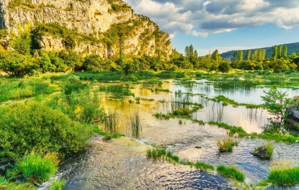 Река с зелеными растениями у горы