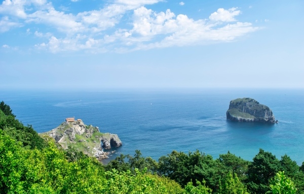 Красивый вид на море с покрытой деревьями горы