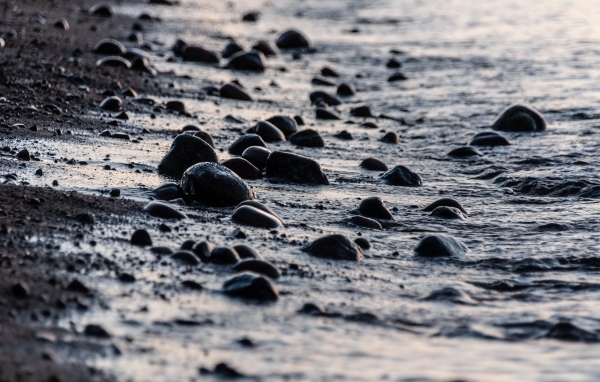 Мокрые камни на песке у моря