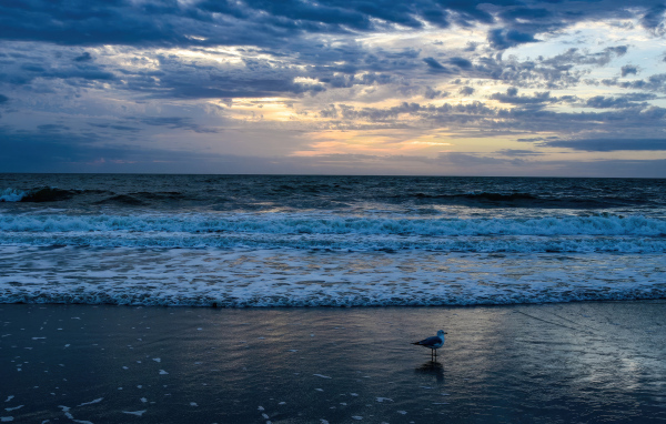 Белые волны окутывают берег моря на рассвете