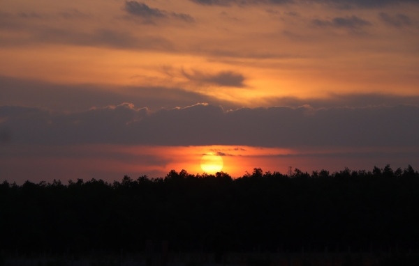 Яркое солнце садится за лесом