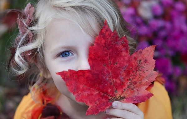 Голубоглазая девочка закрыла глаз красным листом