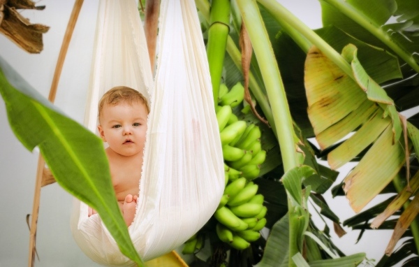 Ребенок в гамаке в тропических зарослях