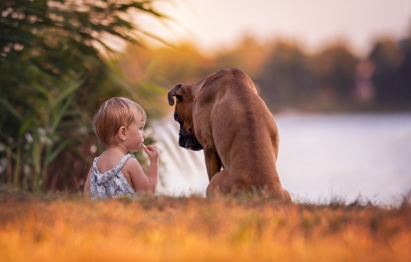 Девочка с собакой на берегу реки