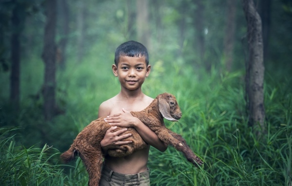 Маленький мальчик с ягненком на руках